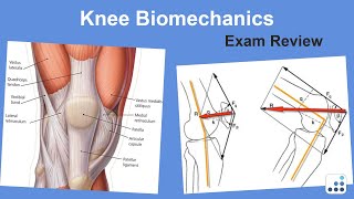 Knee Biomechanics Exam Review  Mark Pagnano MD [upl. by Romina]