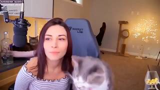 Alinitys Dog Attacks Her quotKittyquot Live on Twitch [upl. by Gierk311]