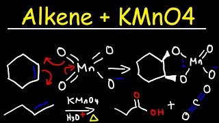 Alkene  KMnO4 Reaction [upl. by Anidam]