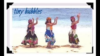 Tiny Bubbles Hawaiian Dance [upl. by Riehl]