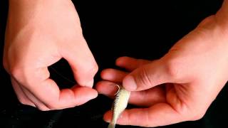 Fishing Basics Using live minnows [upl. by Baldridge]