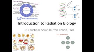 Introduction to Radiobiology [upl. by Onirefes]