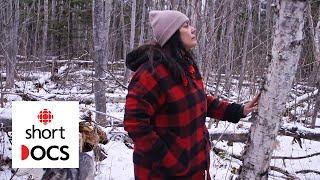 The power of a tree why birch and its bark are so important to Anishinaabe culture  Wiigwaasabak [upl. by Alexis]