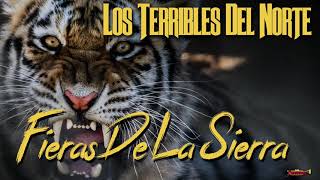 Los Terribles Del Norte  Corrido Fieras De La Sierra Audio Oficial [upl. by Ydualc]