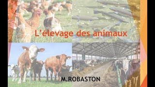 6ème Lélevage des animaux SVT [upl. by Sivlek]