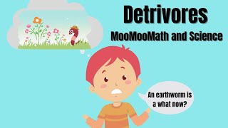 What is a detrivore [upl. by Carter500]