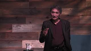 Gently Dusting Off The Mind Gabor Maté [upl. by Nahsez]