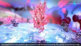 Prolactinemia  Dostinex  MoA  3D medical animation [upl. by Amaryllis647]