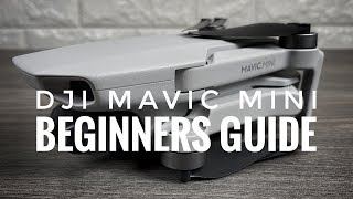 DJI Mavic Mini Beginners Guide  Getting Ready For First Flight [upl. by Eissed]