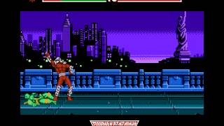 Gameplay Teenage Mutant Ninja Turtles Tournament Fighters NES [upl. by Eixid]