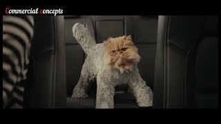 top 5 Cat funny car commercials [upl. by Maryrose]