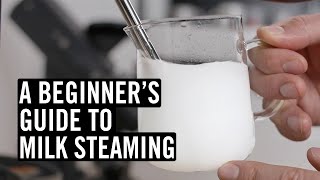 Everything You Need To Know To Steam Great Milk [upl. by Bunce837]