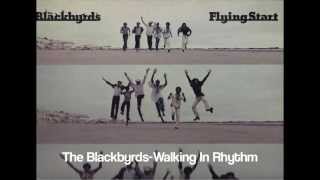 The Blackbyrds  Walking In Rhythm [upl. by Bina]