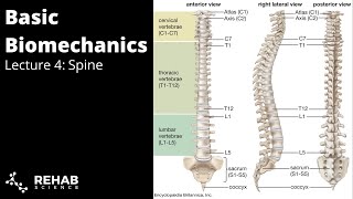 Biomechanics Lecture 4  Spine [upl. by Hike404]