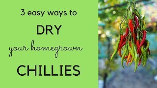 How to dry chillies  three easy ways [upl. by Nilek369]