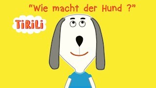 Wie macht der Hund  TiRiLiKinderlieder  Tierstimmen [upl. by Utas633]