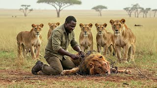 Man Saves Lion From Barbed Wire Then The Lions Do Shocking Things To Him [upl. by Abbub]