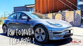 How to Drive a Tesla Model 3 [upl. by Wise565]