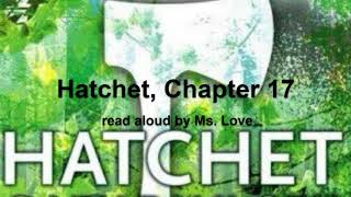 Hatchet by Gary Paulsen Chapter 17 [upl. by Crin]