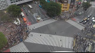 Japans Shibuya Crossing may be the busiest pedestrian crossing in the world [upl. by Kendrah940]