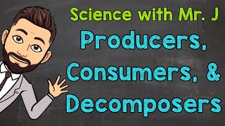 Producers Consumers and Decomposers  Ecosystems [upl. by Anirec]