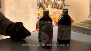 People actually buy and drink cow urine in India [upl. by Yarod648]