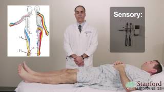 Approach to Low Back Pain Physical Exam  Stanford Medicine 25 [upl. by Jeffcott]