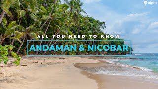 Andaman And Nicobar Islands Best Hotels Best Beaches Things To Do Food  Tripoto [upl. by Ahsito]