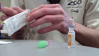 How to Prepare Epinephrine 11000 [upl. by Kano]