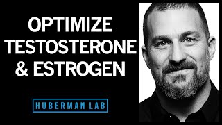 The Science of How to Optimize Testosterone amp Estrogen [upl. by Larrej]