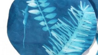 Cyanotypie Cyanotype [upl. by Scuram957]