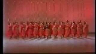 Cossack dance  Ukrainian dance [upl. by Gale]