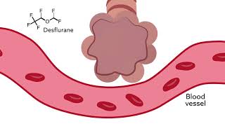 Isoflurane [upl. by Gamal]