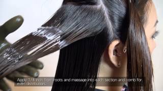 Brazilian Keratin Application Process FULL Version [upl. by Keviv]