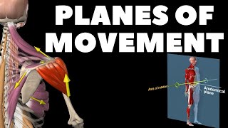 Planes of movement [upl. by Andrews562]