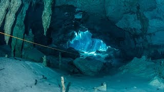 Cenote diving Dos Ojos Mexico [upl. by Yelik]