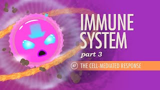 Immune System Part 3 Crash Course Anatomy amp Physiology 47 [upl. by Boleslaw]