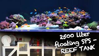 REEF TANK TOURS  exclusive SPS floating REEF  2500 liter HIGH CLASS SETUP [upl. by Aihsitan]