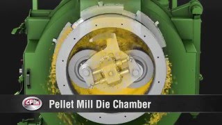 How does a pellet mill work [upl. by Daisey740]