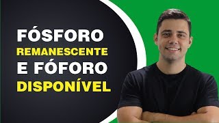 Fósforo remanescente e fósforo disponível  Daniel Scotá  AgricOnline [upl. by Lehacim]