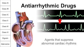 Antiarrhythmic Drugs [upl. by Aihseket929]