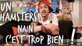 UN HAMSTER NAIN CEST TROP BIEN   TUTO TOOPET [upl. by Nnaeinahpets]