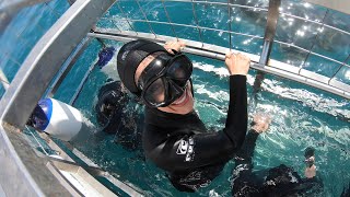 Shark Cage Diving in South Africa [upl. by Ibed]