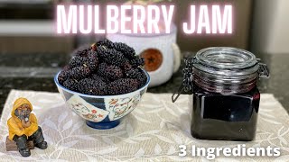 Mulberry Jam Recipe 3 Ingredients  No pectin [upl. by Bondy150]