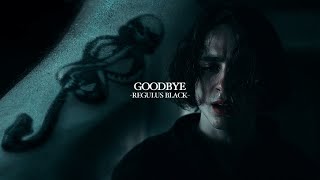 Regulus Black  Goodbye [upl. by Isaiah]