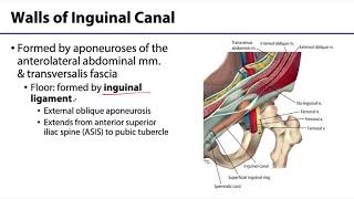 Introduction to CT Abdomen and Pelvis Anatomy and Approach [upl. by Olva]