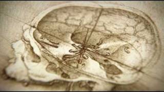 Part 1 of 2 BBC  The Beauty of Diagrams Vitruvian Man [upl. by Rodrich]