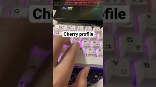 OEM vs Cherry Profile Keycaps [upl. by Fontes]