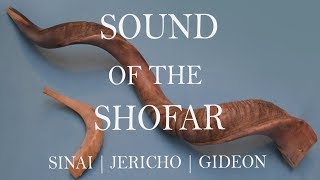 Sound of the Shofar  GCED [upl. by Assena979]