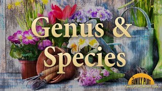 Genus and Species – Garden Glossary [upl. by Aiekan]